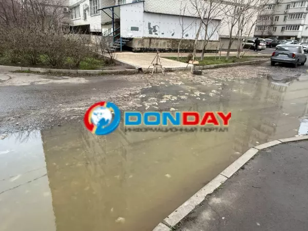 Фото к материалу: Туалетная бумага и фекалии: жители улицы Заводской неделю задыхаются от запаха канализации во дворе