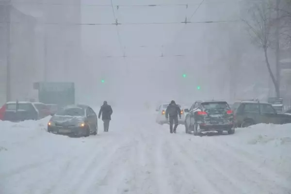 Фото к материалу: Метель накроет Ростовскую область к концу рабочей недели