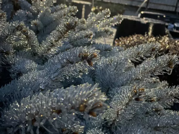 Фото к материалу: Коммунальные службы Ростова перешли в режим готовности из-за непогоды