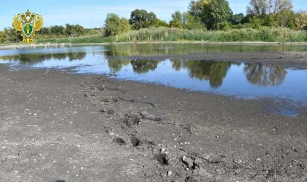 Фото к материалу: В Ростовской области мужчина предстанет перед судом за убийство двух лосей