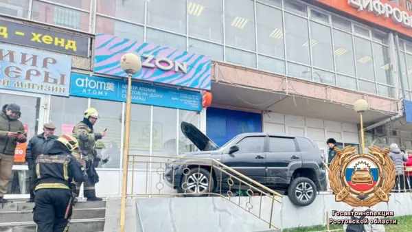 Фото к материалу: В Ростове привлекли к ответственности водителя «Нивы», заехавшего на бордюр