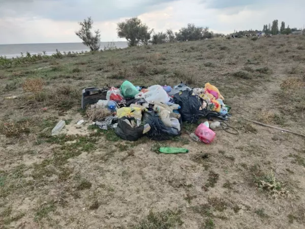 Фото к материалу: Мертвые птицы и горы мусора: жители Ростовской области обеспокоены состоянием Павло-Очаковской косы