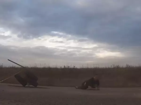 Фото к материалу: Ростовский каскадер Евгений Чеботарев жестко упал во время сальто