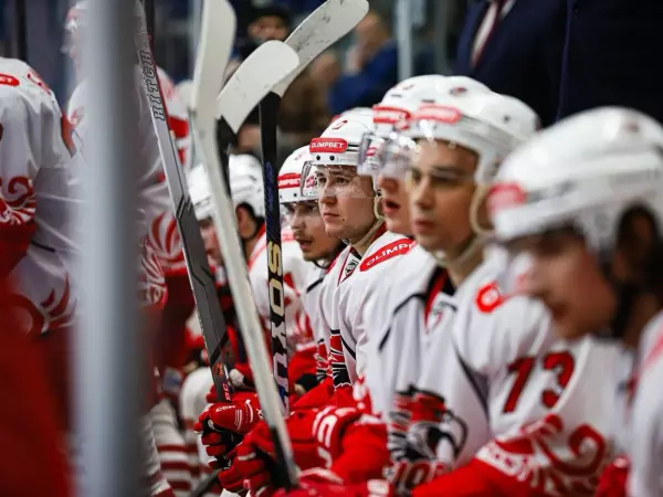 Фото к материалу: ХК «Ростов» запустил продажу билетов на матчи в новом году