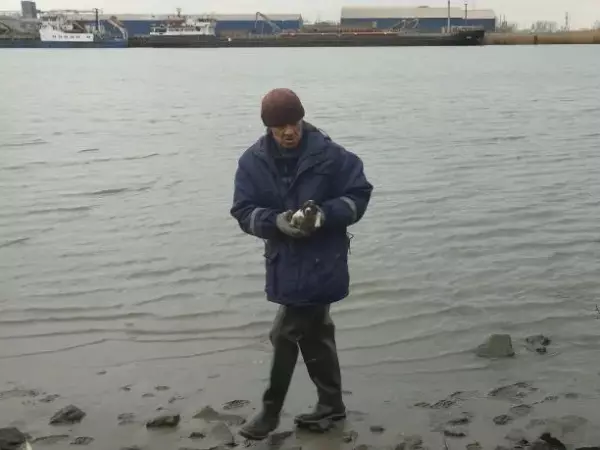 Фото к материалу: В Ростовской области спасатели вытащили слепого щенка с тонкого льда