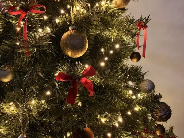 Фото к материалу: Жителям Ростовской области рассказали, как выбрать безопасную гирлянду для новогодней елки