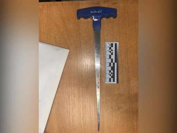 Фото к материалу: Брат на брата: В Ростове мужчина ранил родственника инструментом для снятия автомобильного стекла