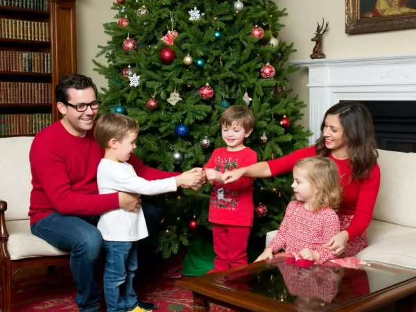 Фото к материалу: Ростовчанам назвали даты, когда наряжать новогоднюю елку для привлечения успеха и богатства