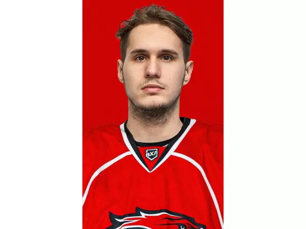 Фото к материалу: ХК «Ростов» усилил свой состав новым игроком