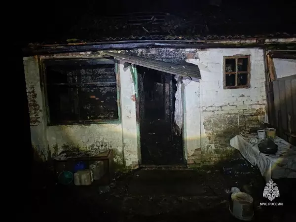 Фото к материалу: В Ростовской области при пожаре в частном доме погибли два человека