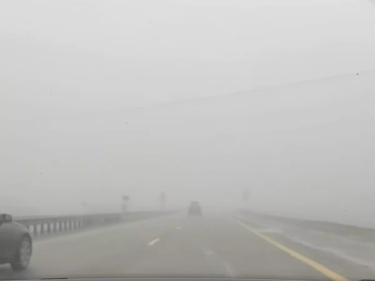 Водителей предупредили о густом тумане на трассе М-4 в Ростовской области
