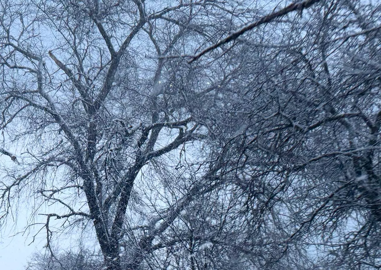 Шесть беспилотников сбили над Ростовской областью и один над Азовским морем