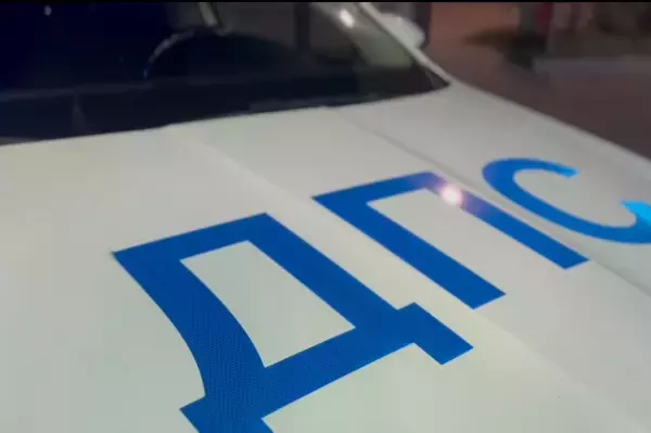 В Ростовской области за новогодние праздники в ДТП погибло 13 человек