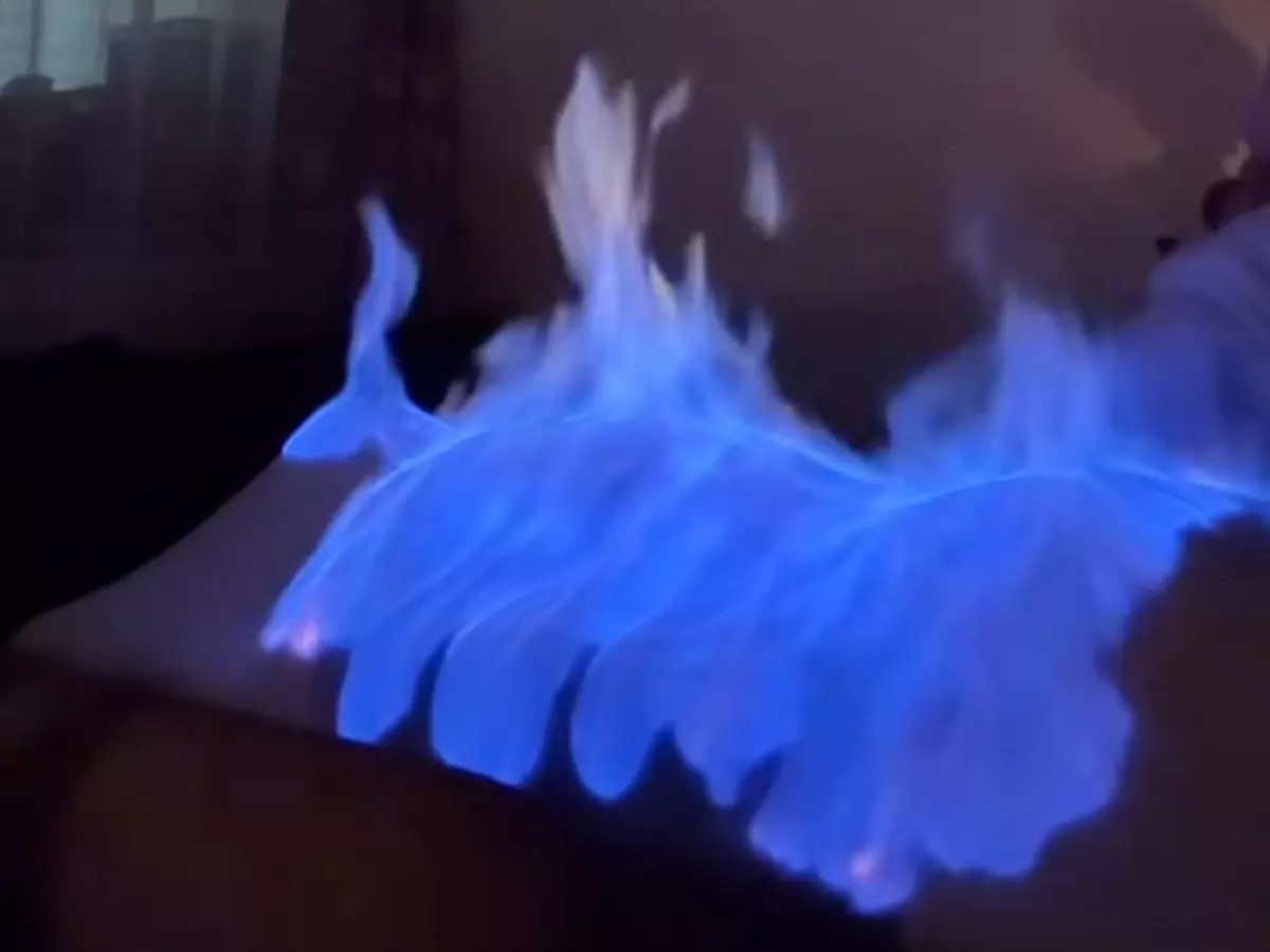 Полину Диброву добровольно подожгли на камеру