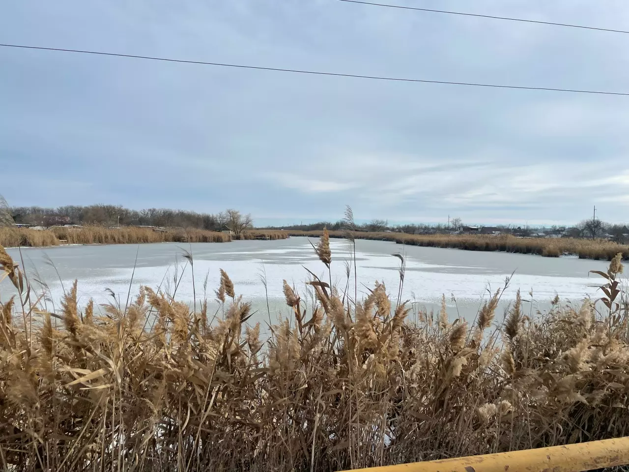 В Ростовской области с 15 января вводится нерестовый запрет на вылов щуки