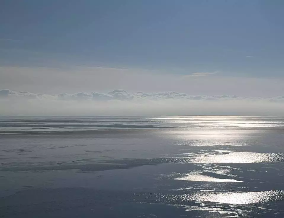 Достигло исторического минимума: в акватории Азовского моря снизилось количество рыб