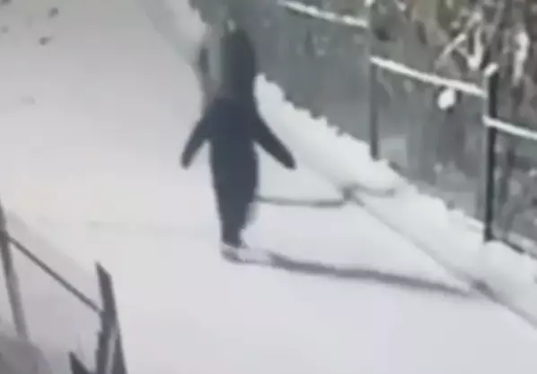 Схема Долиной или жертва мошенников: Сына красноярского бизнесмена, которого похитили ради выкупа, развели на деньги