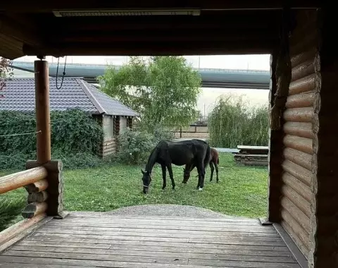 На Дону за 105 млн рублей продают конный клуб с собственным пляжем и солярием для лошадей