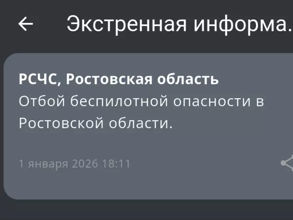 Фото к материалу: В Ростовской области вечером 1 января сняли режим беспилотной опасности