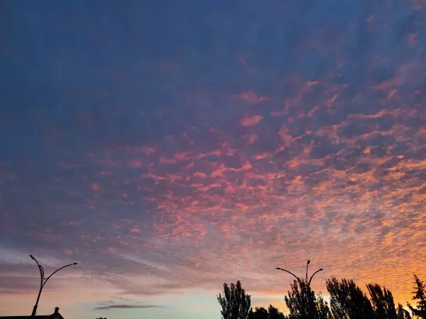 Фото к материалу: Над Ростовской областью сбили 46 беспилотников в четырех районах