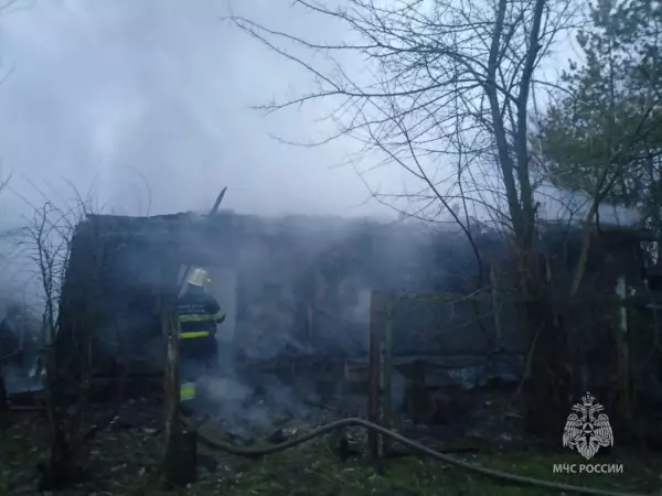 Фото к материалу: В Ростовской области при пожаре в нежилом доме спасли кур и кроликов