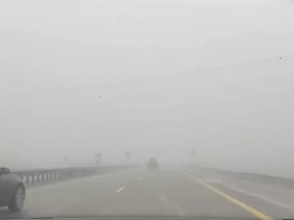 Фото к материалу: Водителей предупредили о густом тумане на трассе М-4 в Ростовской области