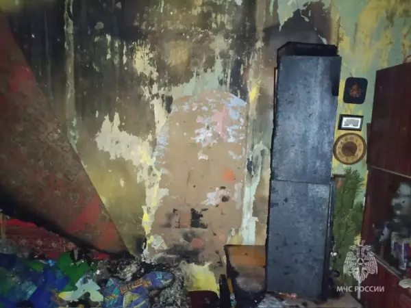 Фото к материалу: Погибла женщина: За сутки 23 января в Ростовской области случилось девять пожаров