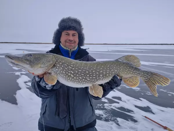 Фото к материалу: В Ростовской области рыбак выловил щуку-гиганта в мороз