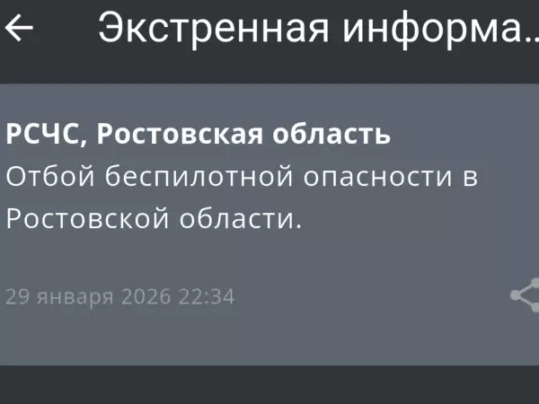Фото к материалу: В Ростовской области вечером 29 января дали отбой беспилотной опасности