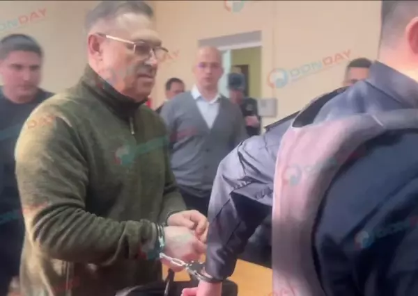 Фото к материалу: Бывшего советника губернатора Ростовской области завели в зал суда в наручниках