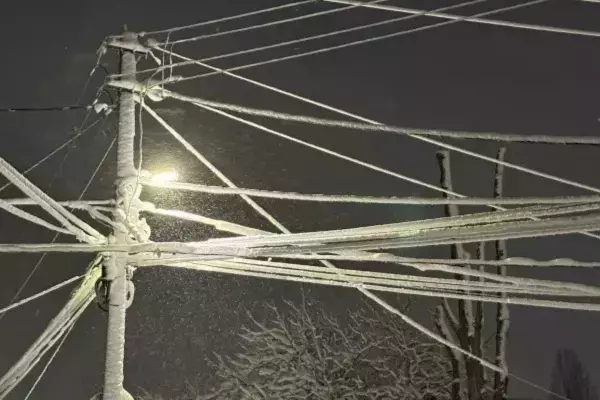 Фото к материалу: В Ростове на выходных будет метель