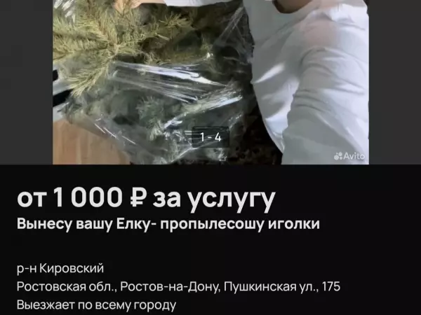 Фото к материалу: Пропылесошу иголки: в Ростове-на-Дону появились уборщики елок
