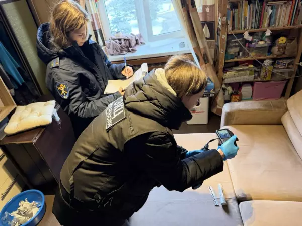 Фото к материалу: Донская полиция опровергла новость о брошенной в окно петарде