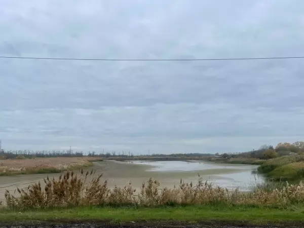 Фото к материалу: В Ростовской области ученые зафиксировали рекордное маловодье реки Дон