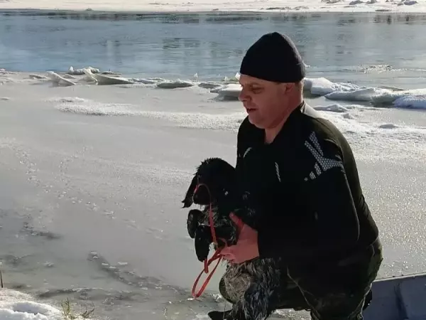 Фото к материалу: Погнался за утками и чуть не утонул: донские спасатели вытащили спаниеля, провалившегося в полынью