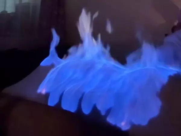 Фото к материалу: Полину Диброву добровольно подожгли на камеру