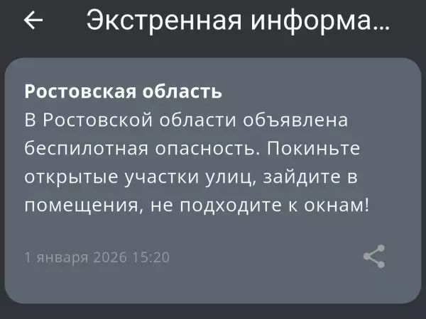 Фото к материалу: В Ростовской области в первый день нового года объявили беспилотную опасность
