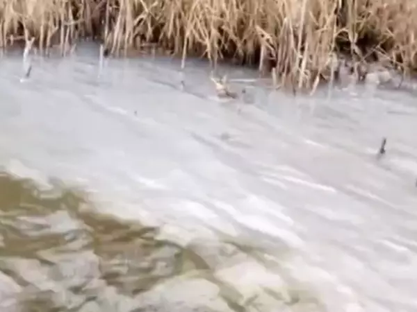 Фото к материалу: Жители Ростовской области зафиксировали слив нечистот в  Мокро-Соленовскую балку