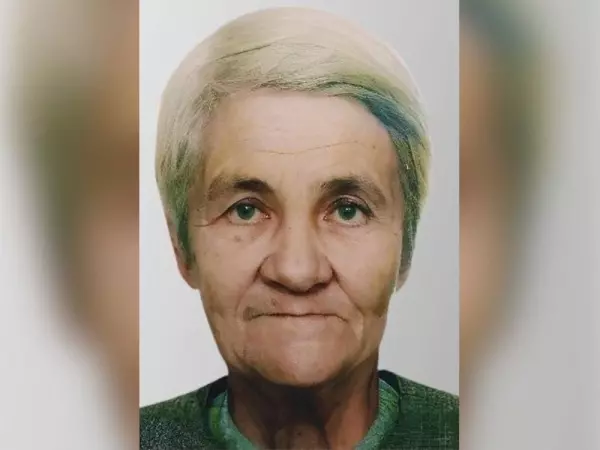 Фото к материалу: Волонтеры уже неделю ищут пропавшую пенсионерку из Ростовской области