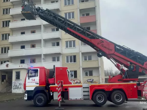 Фото к материалу: За прошедшую неделю в Ростовской области потушили более ста пожаров