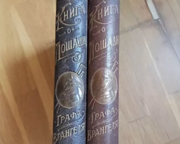 Фото к материалу: Старинные книги о лошадях и конфетница на ножке из Германии: какие антикварные вещи продают на Дону