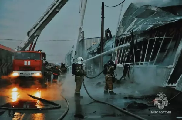 Фото к материалу: Без жертв не обошлось: в Ростовской области за сутки потушили 8 пожаров