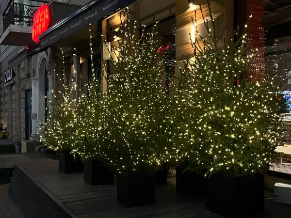 Фото к материалу: На рождественской неделе в Ростове потеплеет до +10 градусов