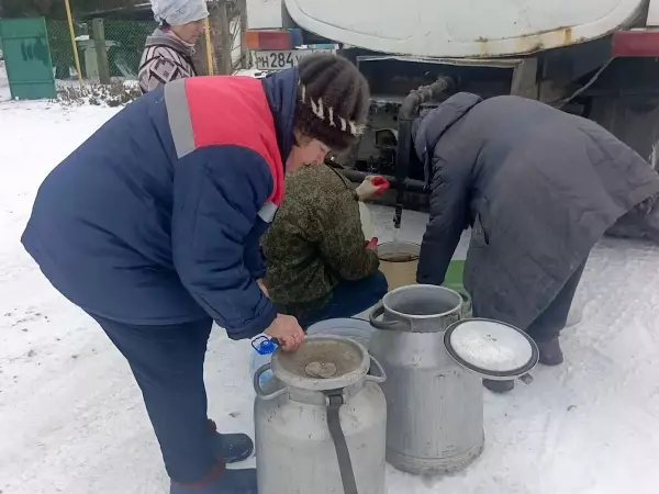 Фото к материалу: Топим снег и питаемся бич-пакетами: в Ростовской области сотни семей пятые сутки сидят без воды