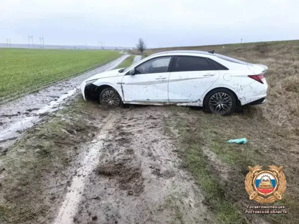 Фото к материалу: В ДТП на трассе Волгодонск – Зимовники пострадали два человека 