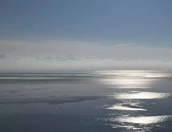 Фото к материалу: Достигло исторического минимума: в акватории Азовского моря снизилось количество рыбы