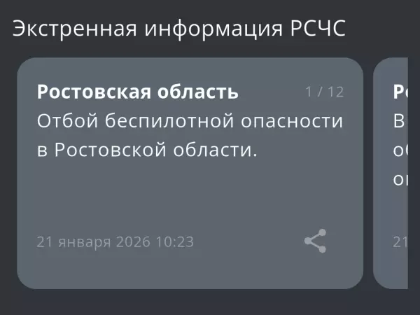Фото к материалу: Спустя час в Ростовской области дали отбой беспилотной опасности