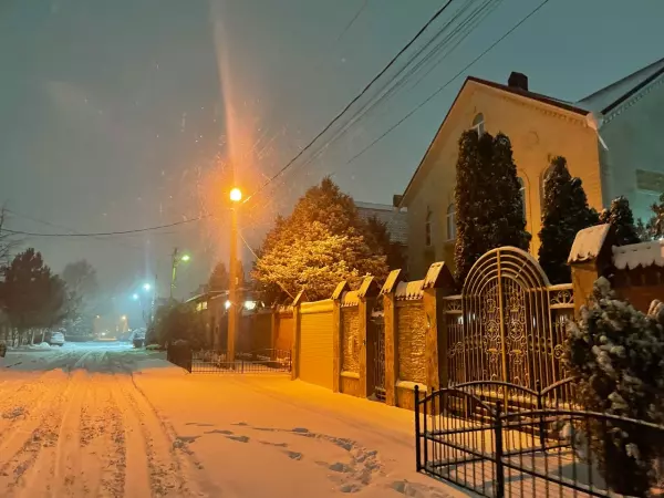 Фото к материалу: Последняя рабочая неделя января в Ростовской области начнется с морозов и сильного ветра