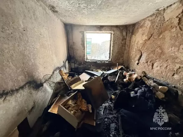 Фото к материалу: Эвакуировали 12 жильцов: МЧС опубликовало подробности пожара в многоэтажке в Шахтах