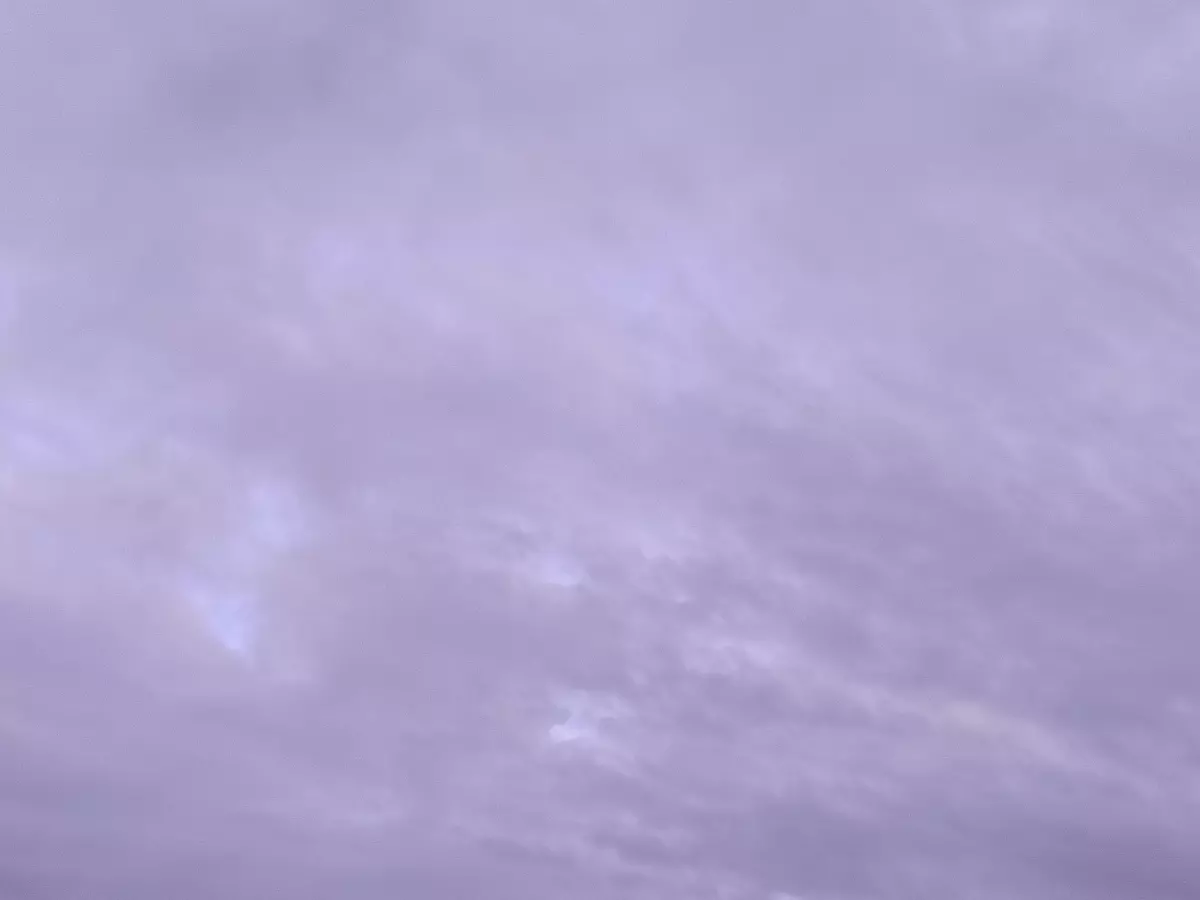 Над Ростовской областью сбили 12 беспилотников